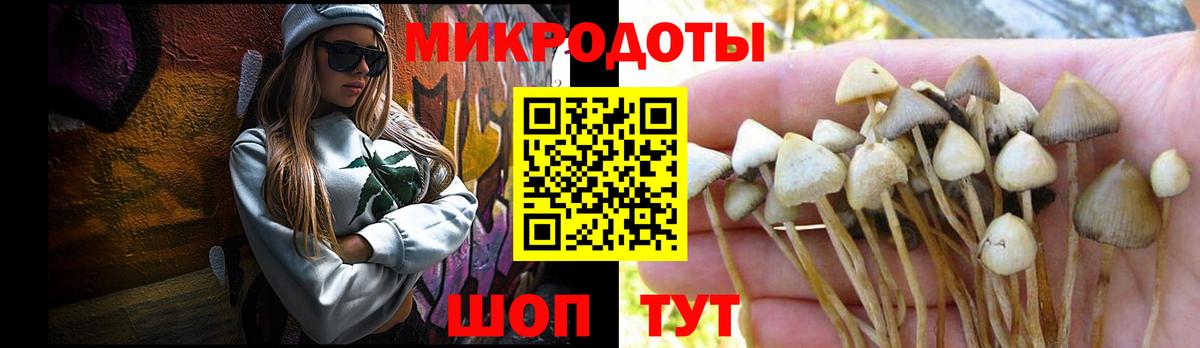 Галлюциногенные грибы MAGIC MUSHROOMS Каменск-Уральский